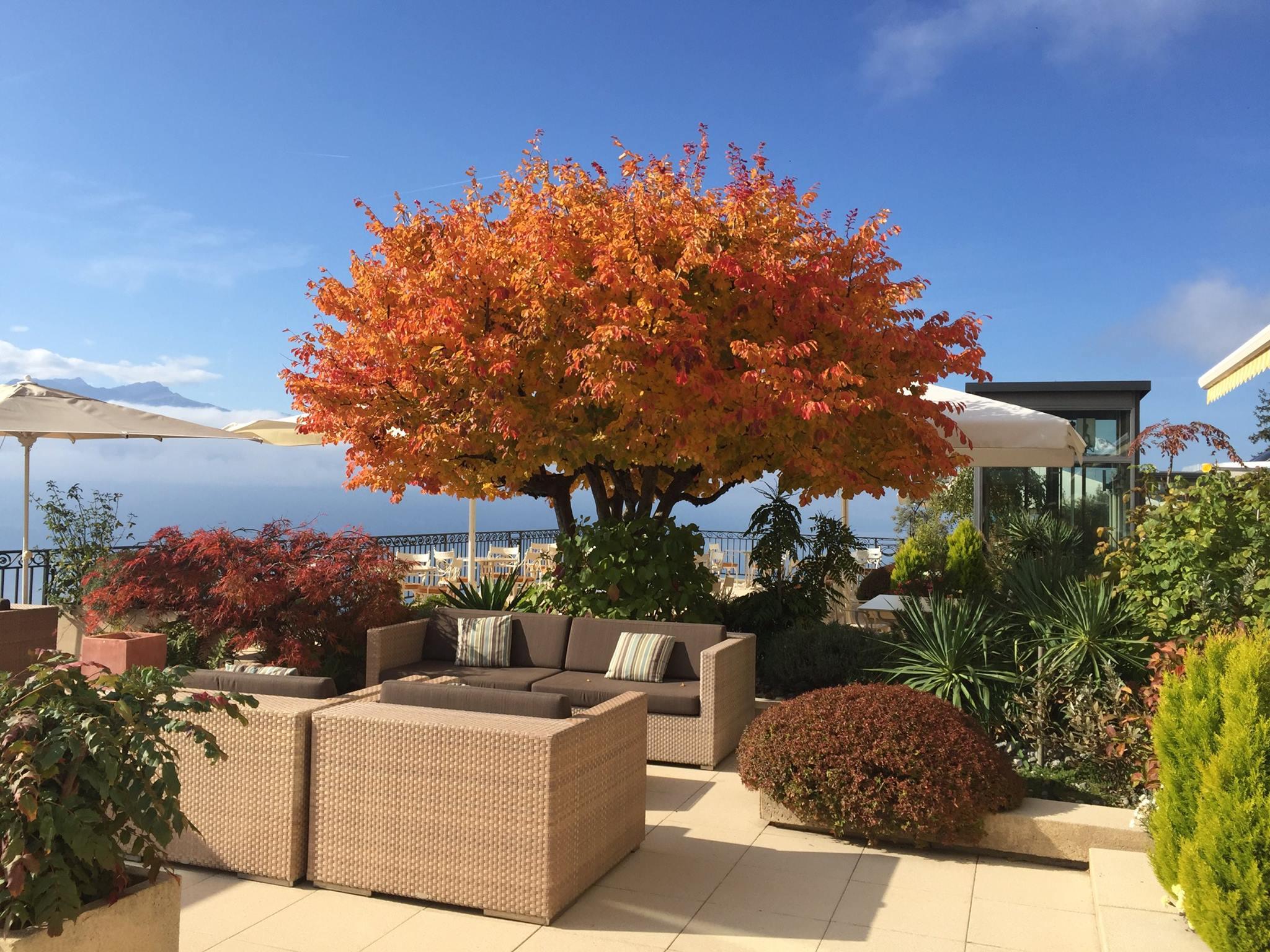Le Mirador Resort & Spa Mont Pelerin Exterior photo The rooftop garden at the Mandarin Oriental, Geneva
